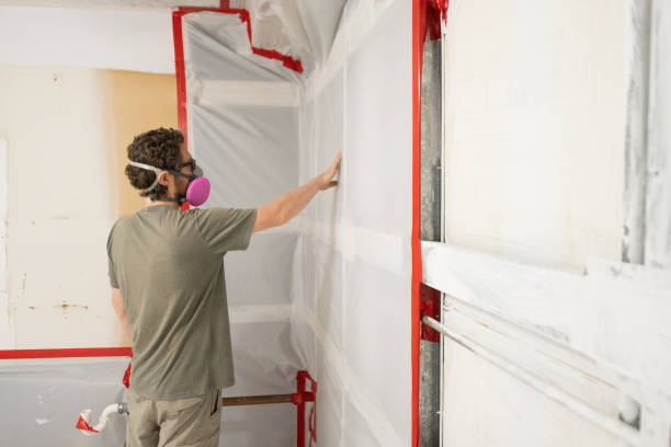 Best Real Estate Mold Inspection  in Tipton, IN