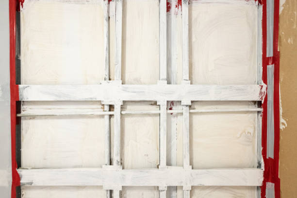 Best Mold Odor Removal Services  in Tipton, IN