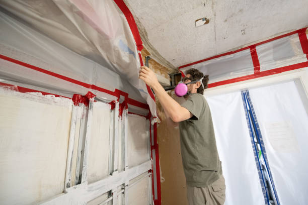 Tipton, IN Mold Removal Company