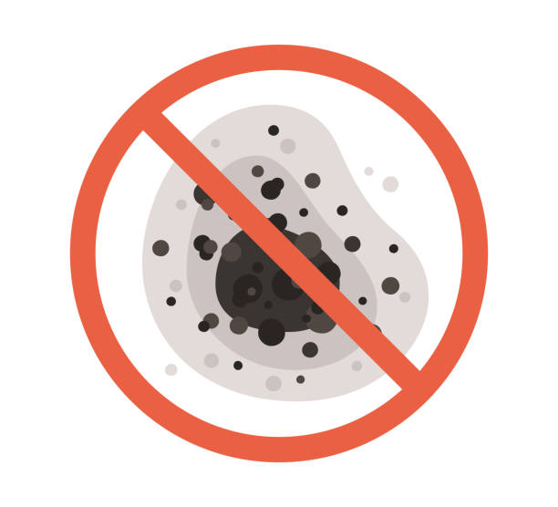 Best Airborne Mold Testing  in Tipton, IN