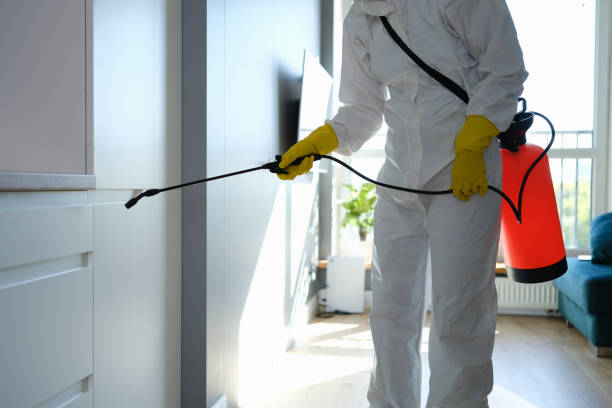 Best Forensic Mold Investigation  in Tipton, IN