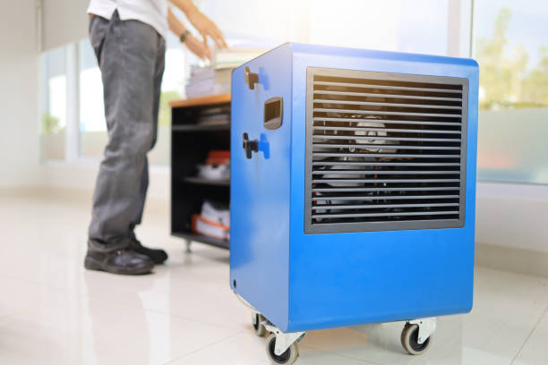 Best Mold Damage Restoration  in Tipton, IN