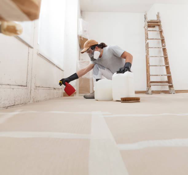 Best Environmental Consulting for Mold Prevention  in Tipton, IN