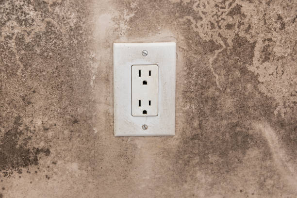 Best Residential Mold Inspection & Testing  in Tipton, IN